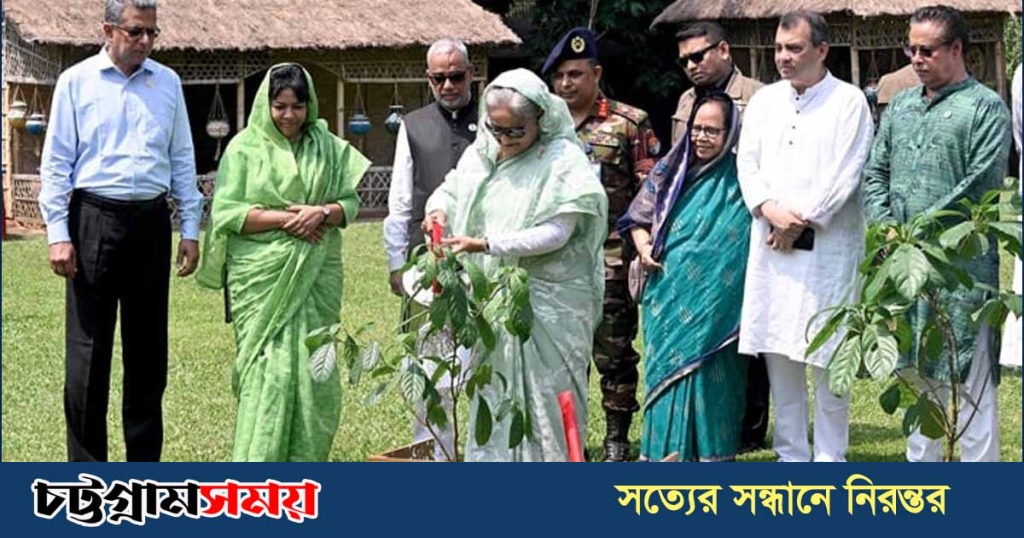 অন্তত একটি গাছ লাগান : প্রধানমন্ত্রী