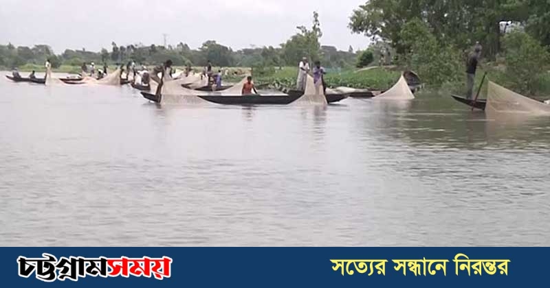 হালদার রুই জাতীয় মাছের রেণু বিক্রি শুরু আজ