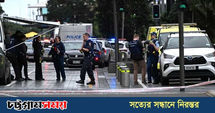 নিউজিল্যান্ডে বন্দুক হামলা, নিহত ৩