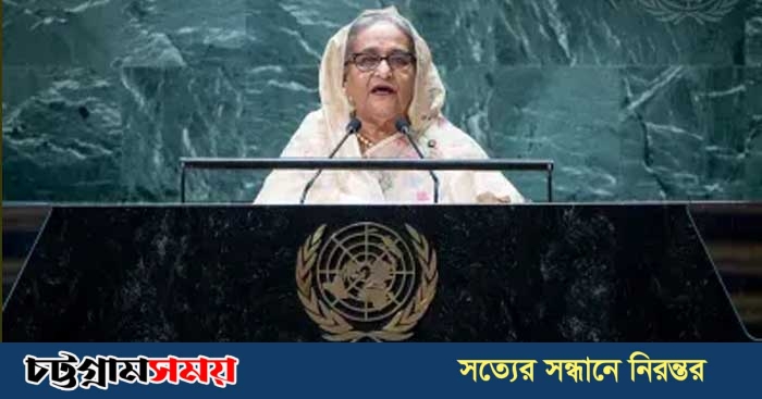 রোহিঙ্গা পরিস্থিতি অসহনীয় হয়ে উঠেছে: প্রধানমন্ত্রী