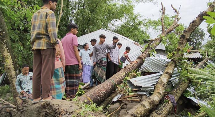 জামালপুরে কালবৈশাখী ঝড়ে গাছ চাপায় মা ও দুই মেয়ের মৃত্যু